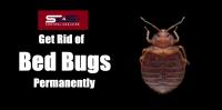 SES Bed Bug Control Adelaide image 2